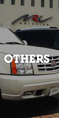 OTHERS - ̑